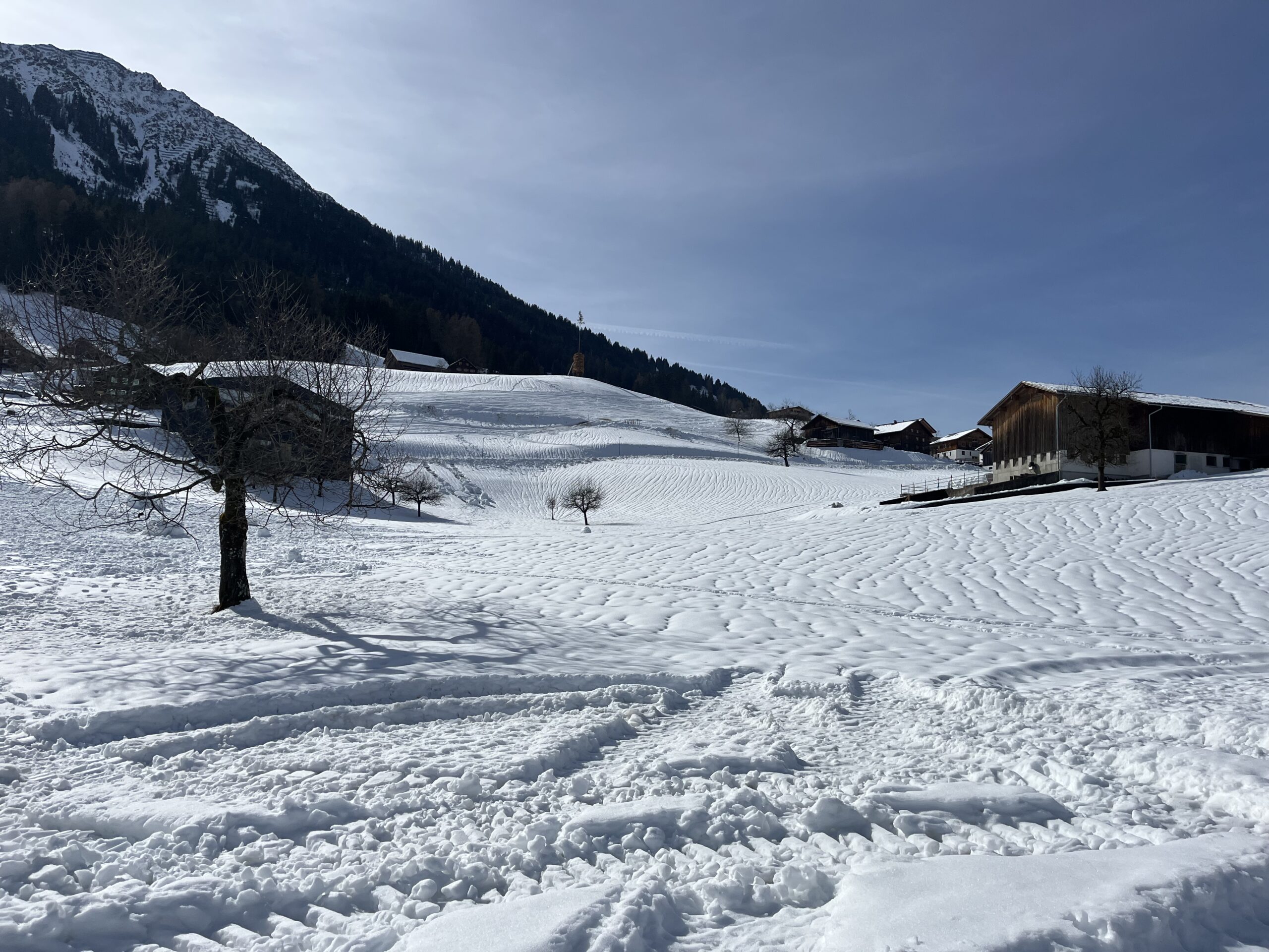 Dimanche_sport et neige